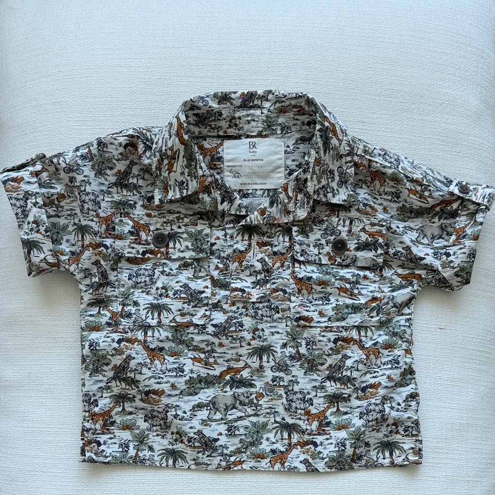Dinosaur Print Shirt and Shorts Set